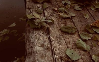 No me veo en mis cosas